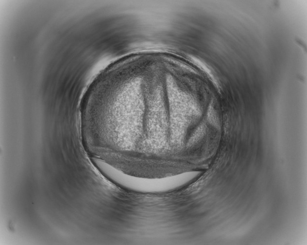 X0000095891472200802081106