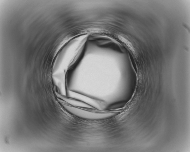X0000095891473200802081106