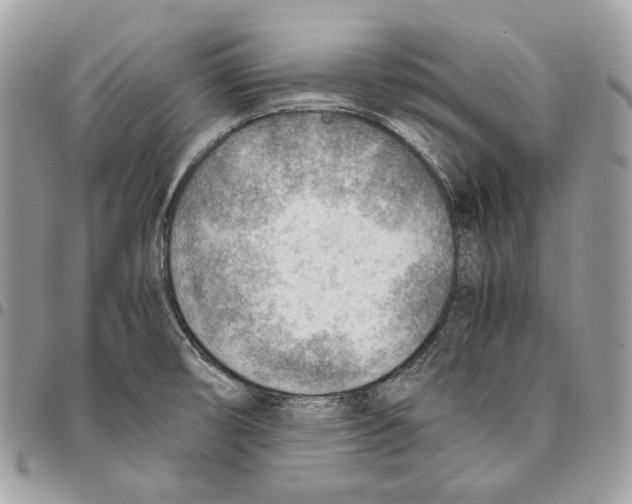 X0000095891474200802081106