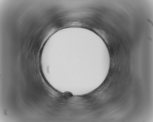 X0000095891475200802081106