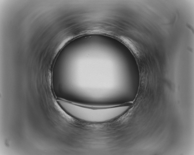 X0000095891476200802081106