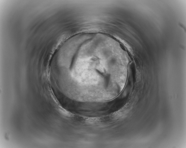 X0000095891477200802081106