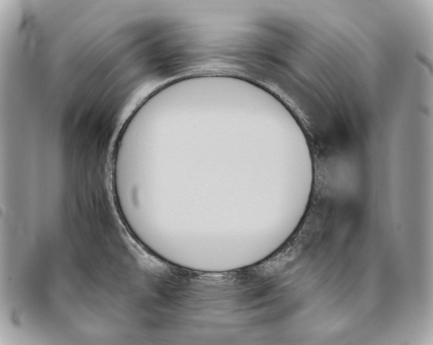 X0000095891478200802081106