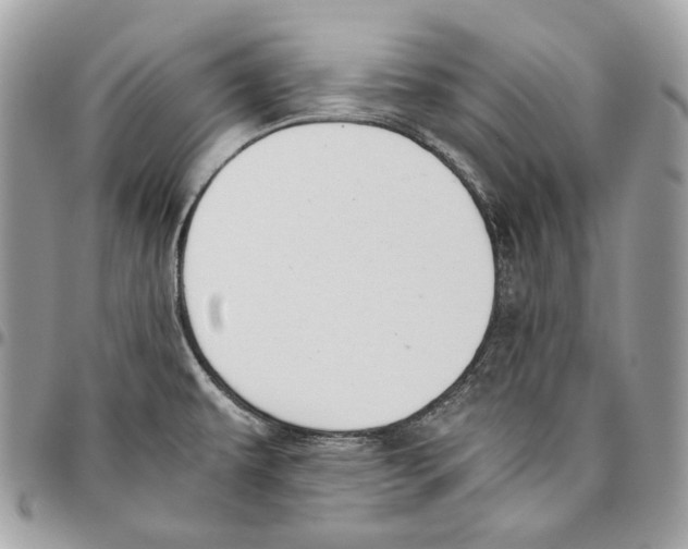 X0000095891479200802081106