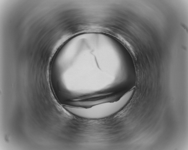 X0000095891480200802081106