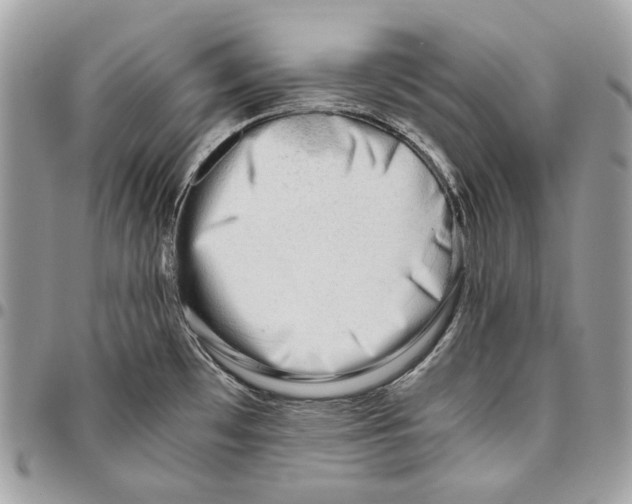 X0000095891481200802081106