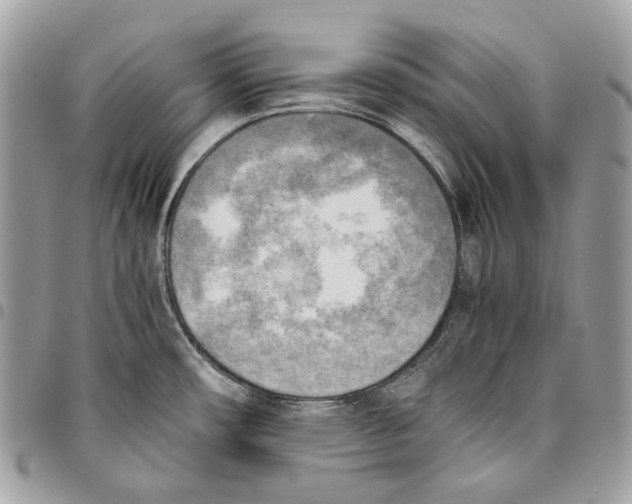 X0000095891482200802081106