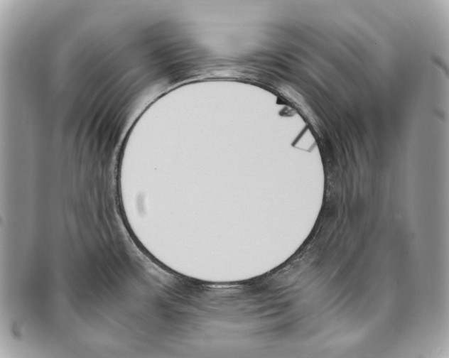 X0000095891483200802081106