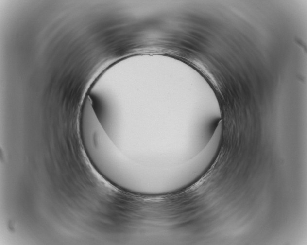X0000095891484200802081106