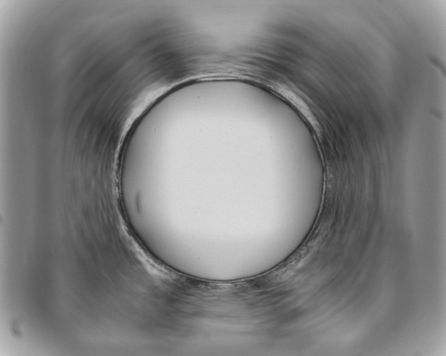 X0000095891485200802081106
