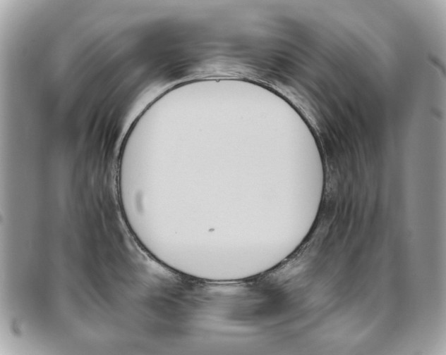 X0000095891486200802081106