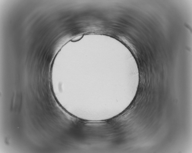 X0000095891487200802081106