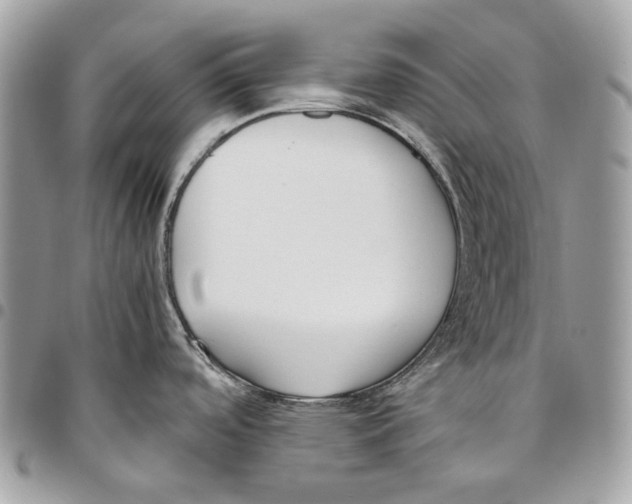 X0000095891488200802081106
