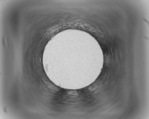 X0000095891489200802081105