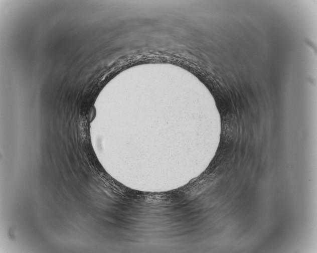 X0000095891490200802081105