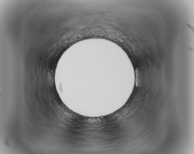 X0000095891491200802081105
