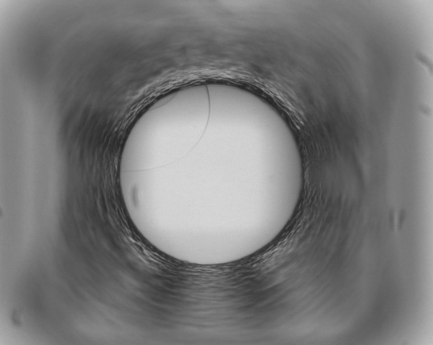 X0000095891492200802081105