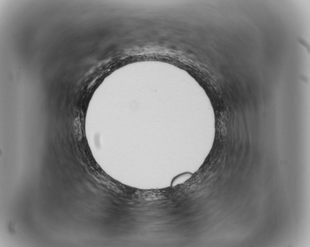 X0000095891493200802081105