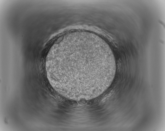 X0000095891494200802081105