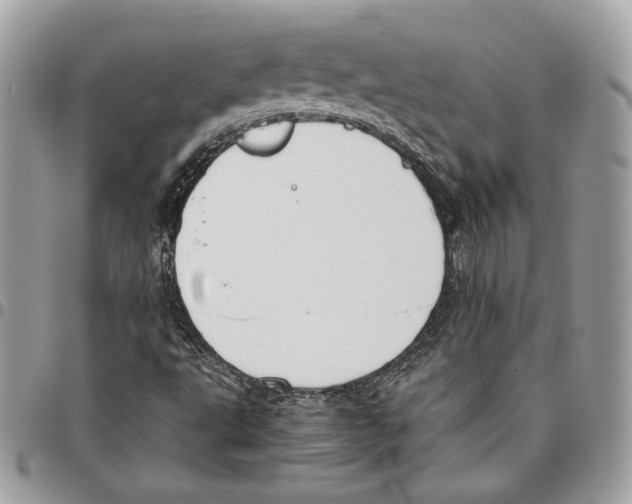 X0000095891495200802081105