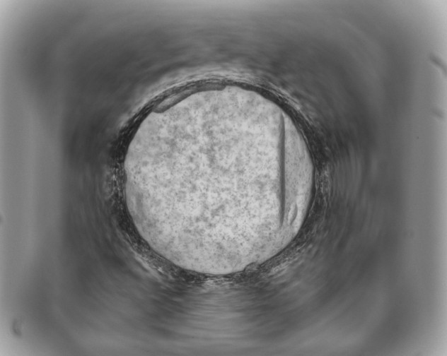 X0000095891496200802081105