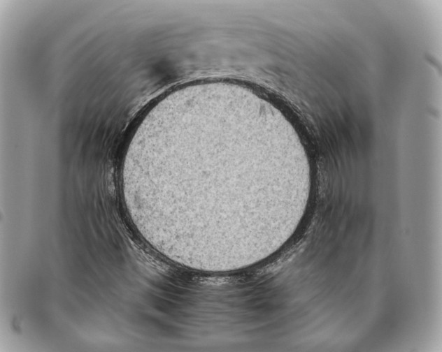 X0000095891497200802081105