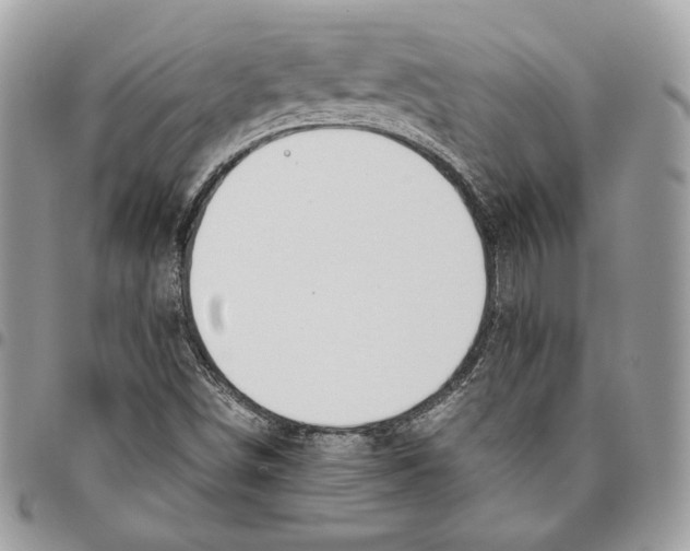 X0000095891498200802081105