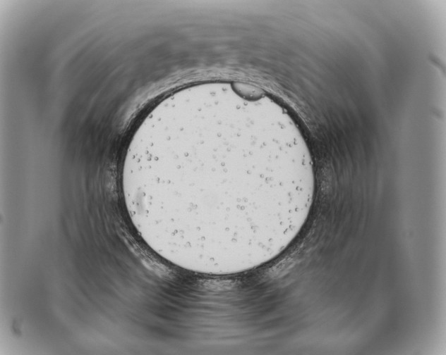 X0000095891499200802081105
