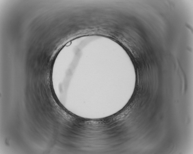 X0000095891500200802081105