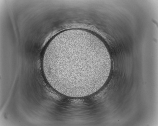 X0000095891501200802081105