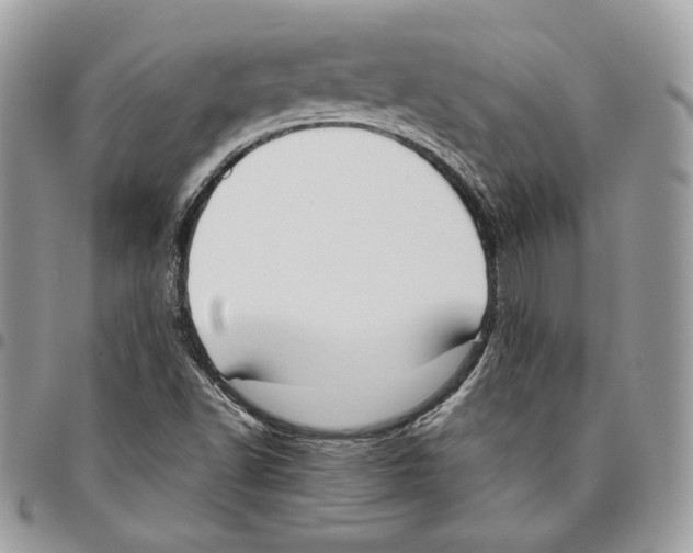 X0000095891502200802081105