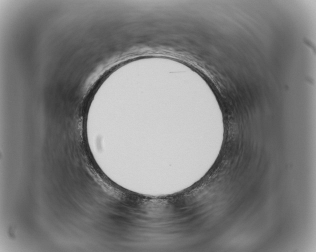 X0000095891503200802081106