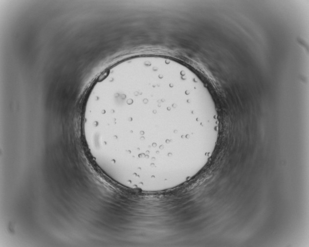 X0000095891504200802081106