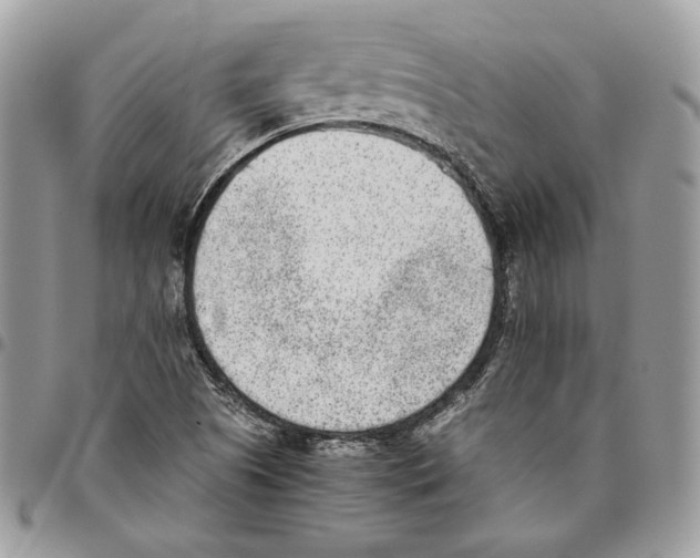 X0000095891505200802081106