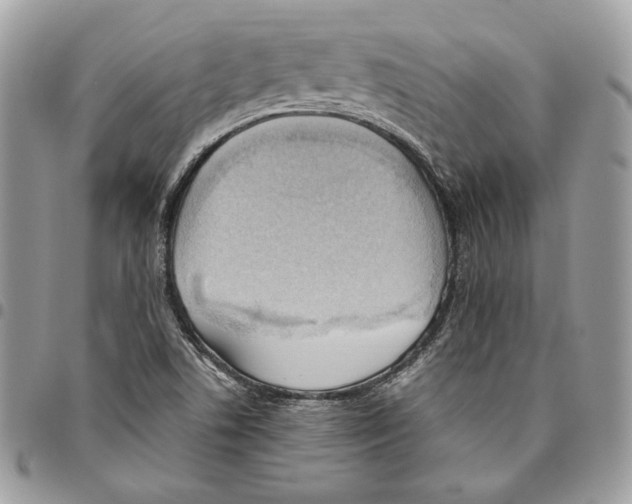 X0000095891506200802081106