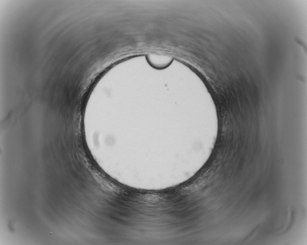 X0000095891507200802081106