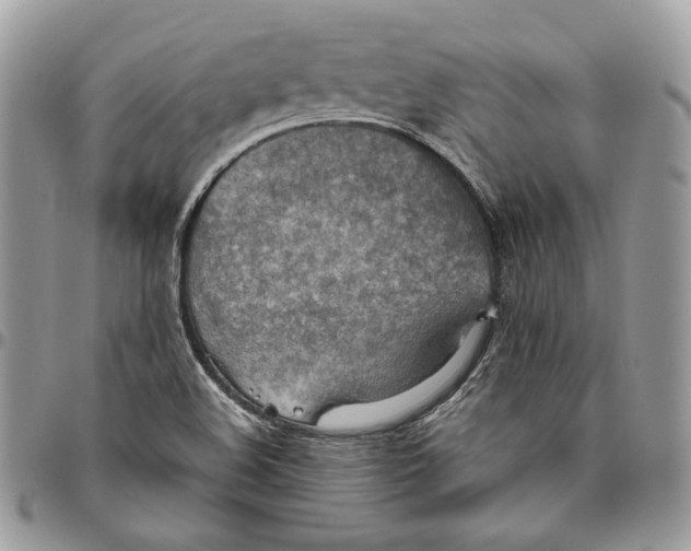X0000095891508200802081106