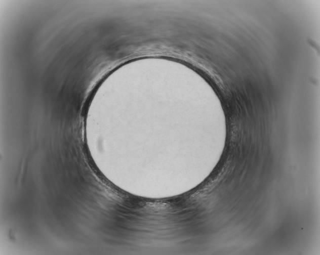 X0000095891509200802081106