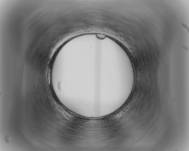 X0000095891510200802081106