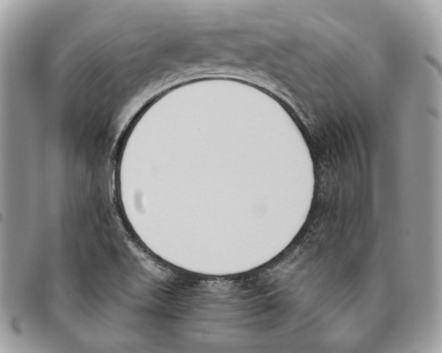 X0000095891511200802081106