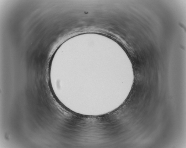 X0000095891512200802081106