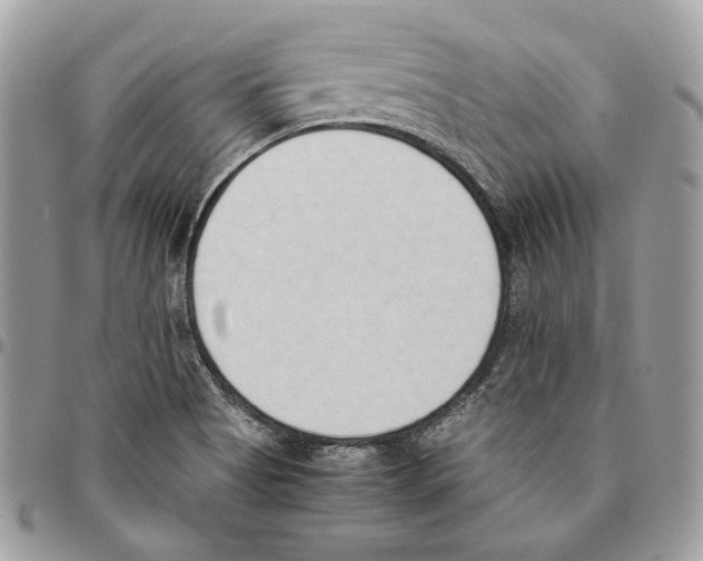 X0000095891513200802081106