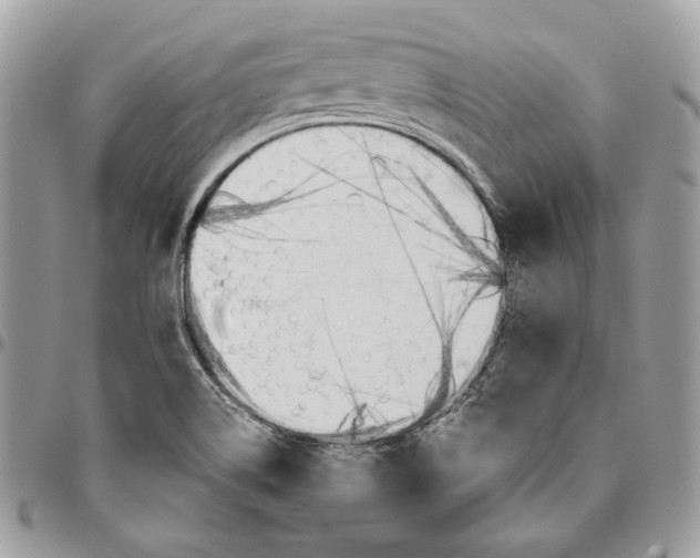 X0000095891514200802081106