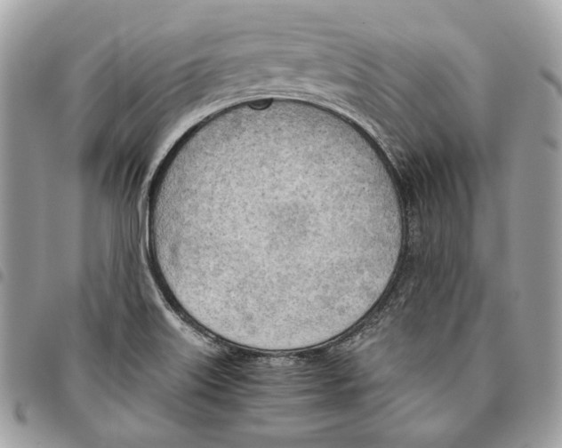 X0000095891515200802081106