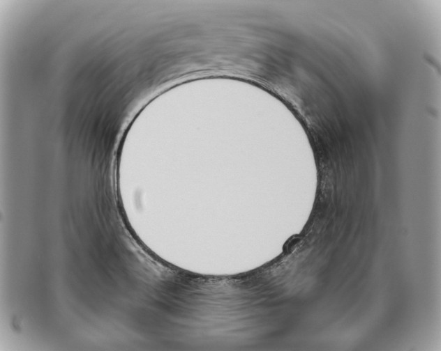 X0000095891516200802081106