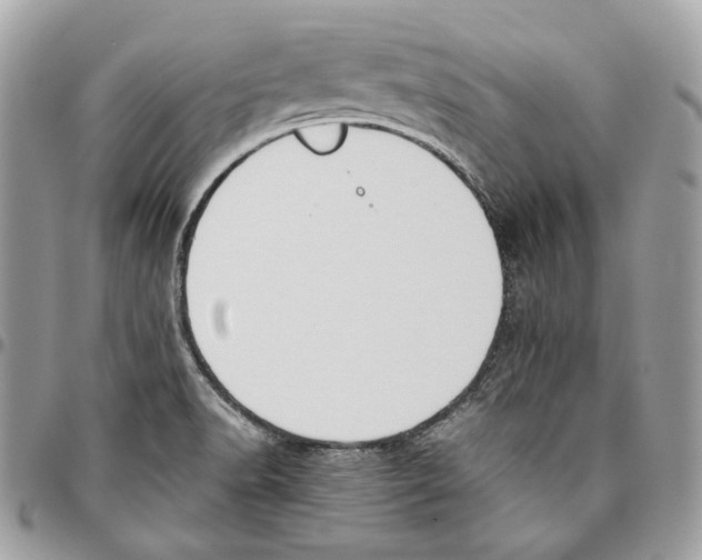 X0000095891518200802081106