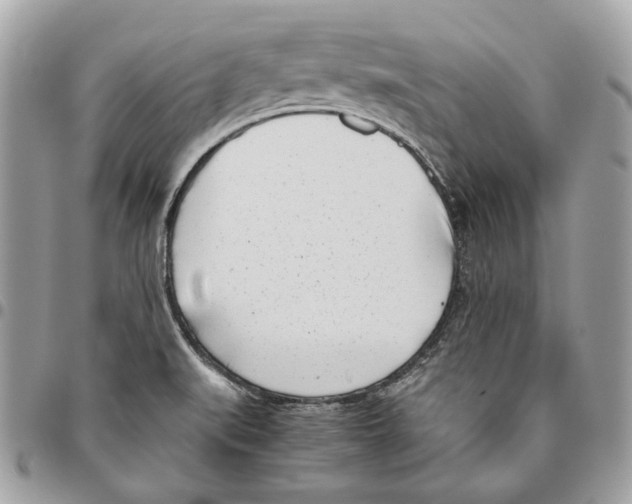 X0000095891519200802081106