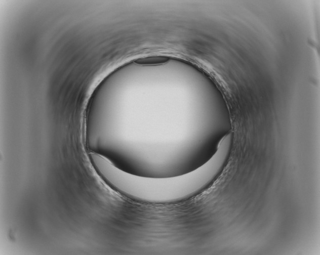 X0000095891520200802081106