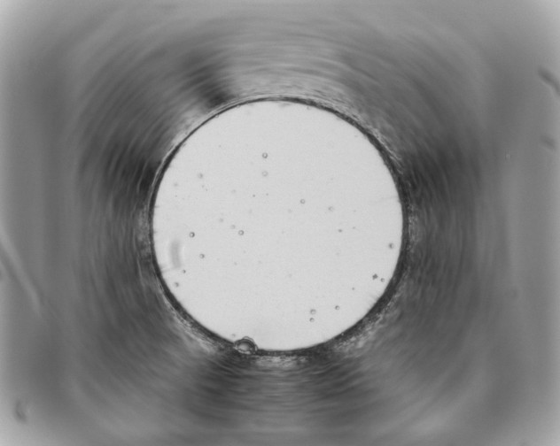 X0000095891521200802081106