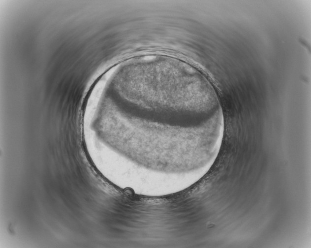 X0000095891522200802081106